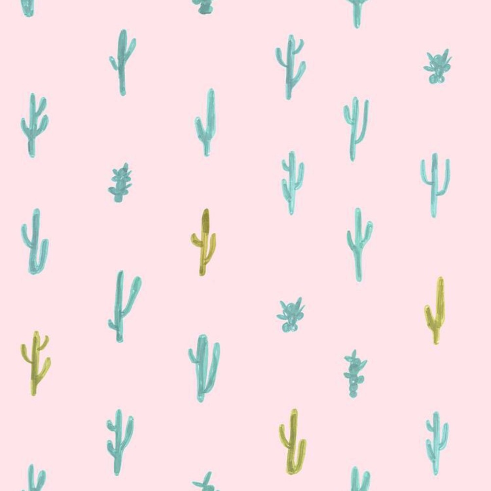 Meet your Posher, Raleigh